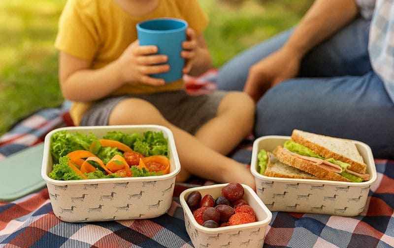 Bamboo fiber containers in use salad, fruit, sandwiches